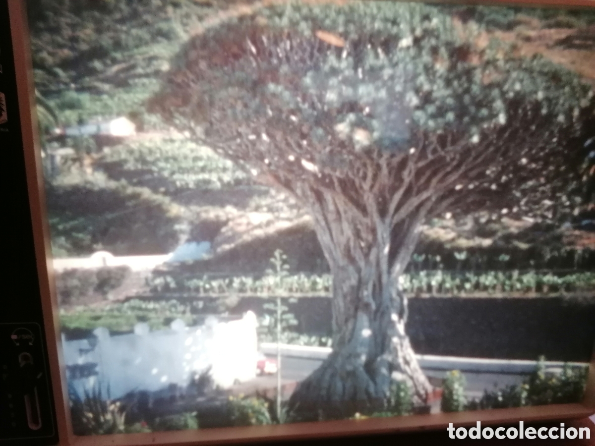 Antig&uuml;edades: EUMIG R 2000 INSTRAPROYECTION - 8mm y Super 8 - Foto 26