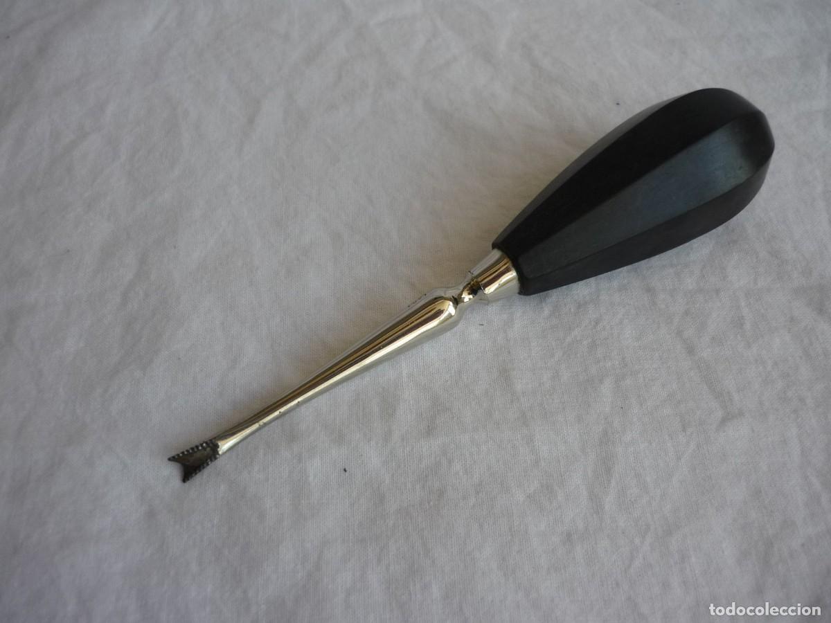 Antig&uuml;edades: Antiguo botador, herramienta de dentista, mango de madera - Foto 5