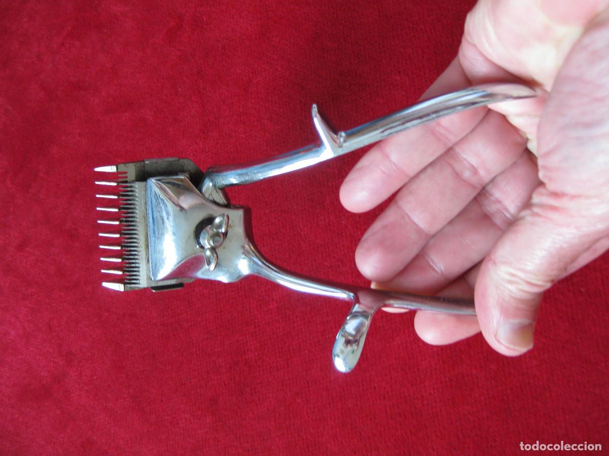Antig&uuml;edades: SELECCI&Oacute;N DE BARBERO PELUQUERO - Foto 6