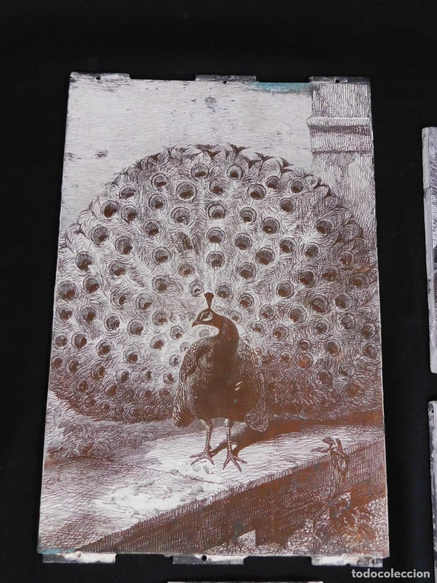 Antig&uuml;edades: LOTE 4 PLACAS DE ZINC - Foto 2
