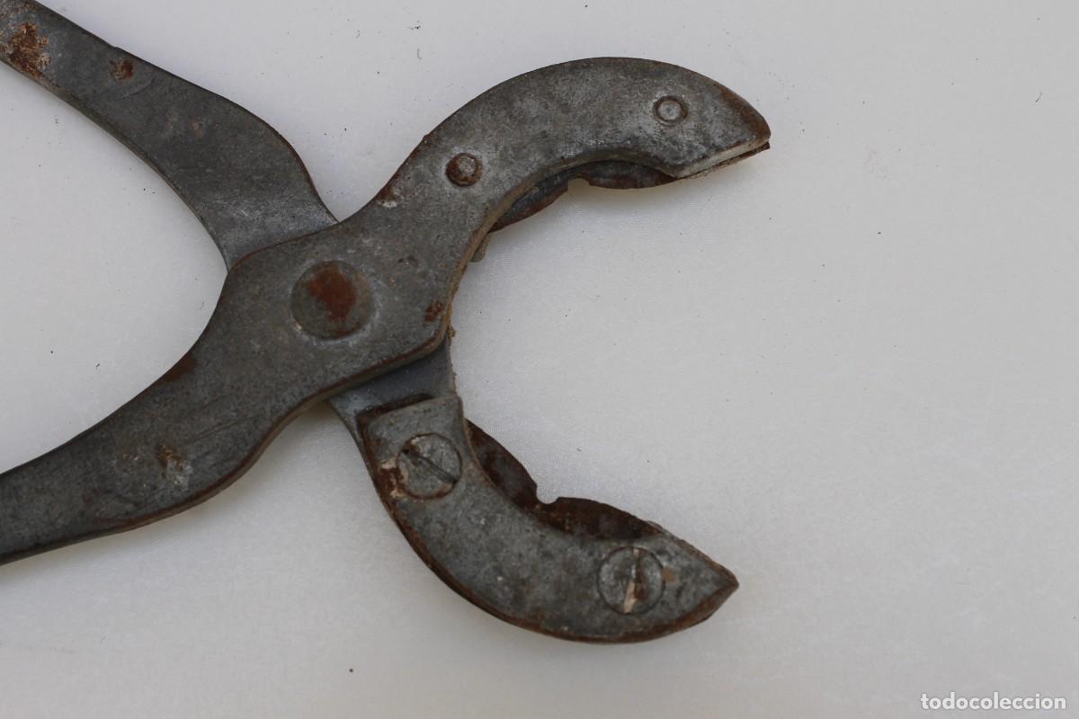 Antig&uuml;edades: ANTIGUAS ALICATES PARA CORTAR TUBERIAS DE PLOMO - Foto 2