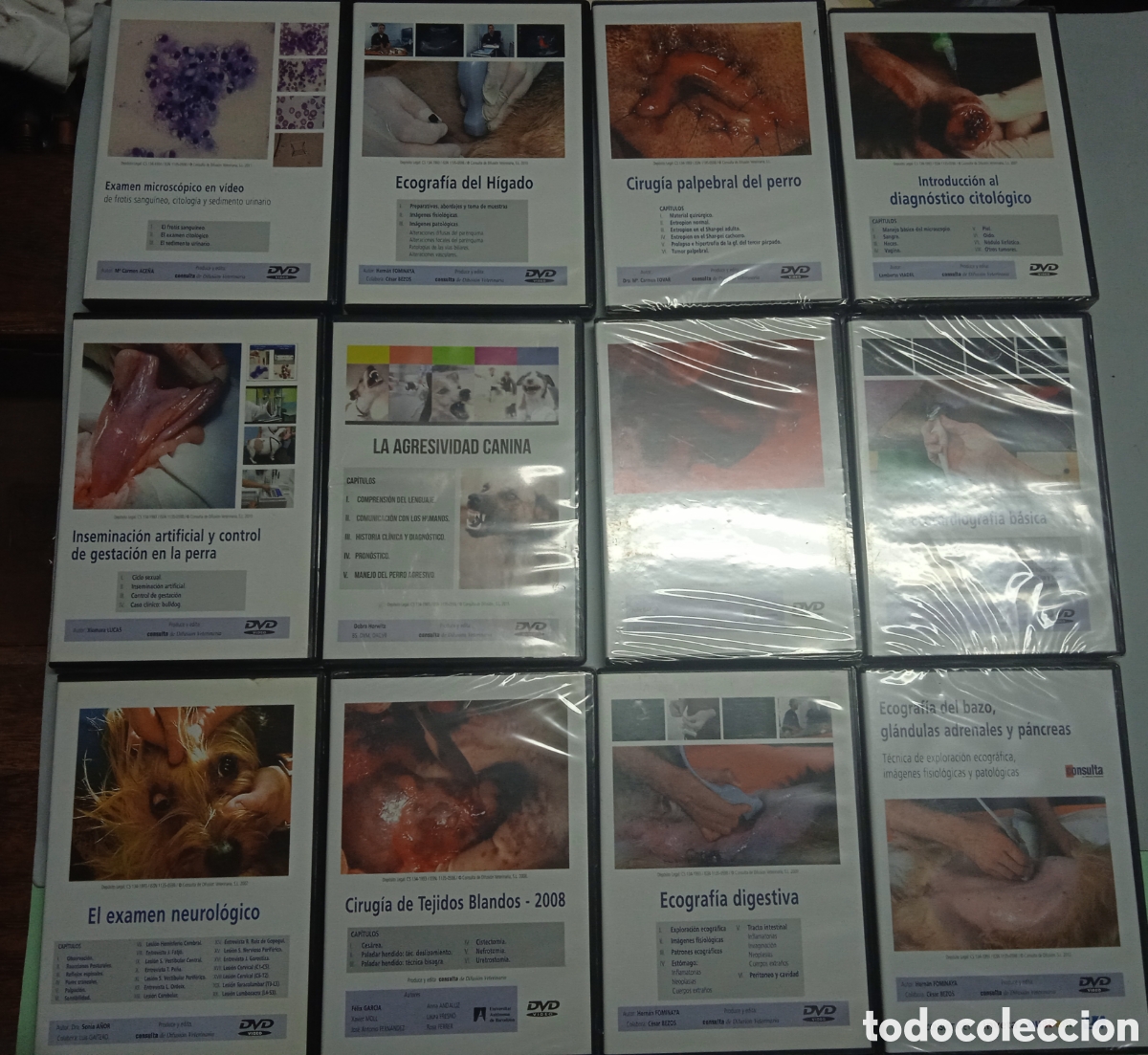 Antig&uuml;edades: 12 DVD de cirug&iacute;a canina - Foto 1