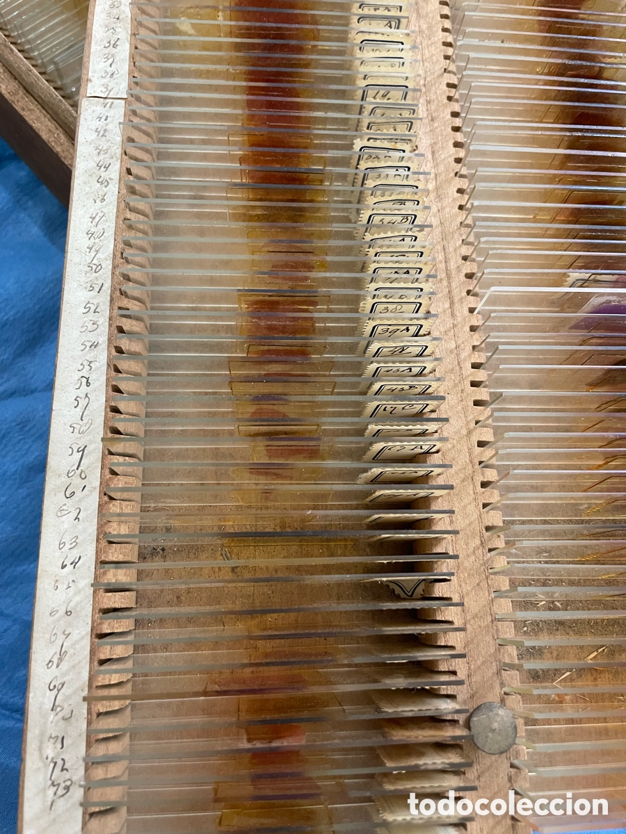 Antig&uuml;edades: CAJA CON 292 PRUEBAS DE LABORATORIO - Foto 3