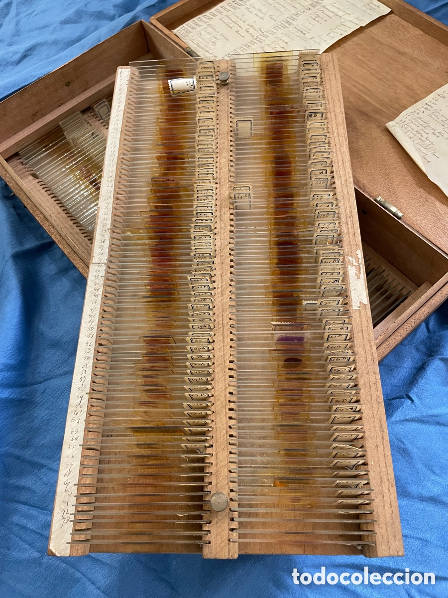 Antig&uuml;edades: CAJA CON 292 PRUEBAS DE LABORATORIO - Foto 6