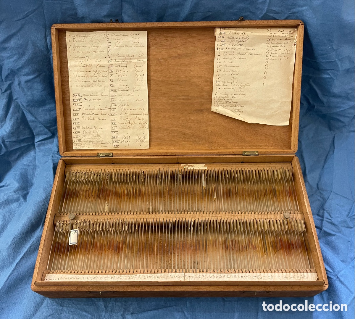Antig&uuml;edades: CAJA CON 292 PRUEBAS DE LABORATORIO - Foto 1