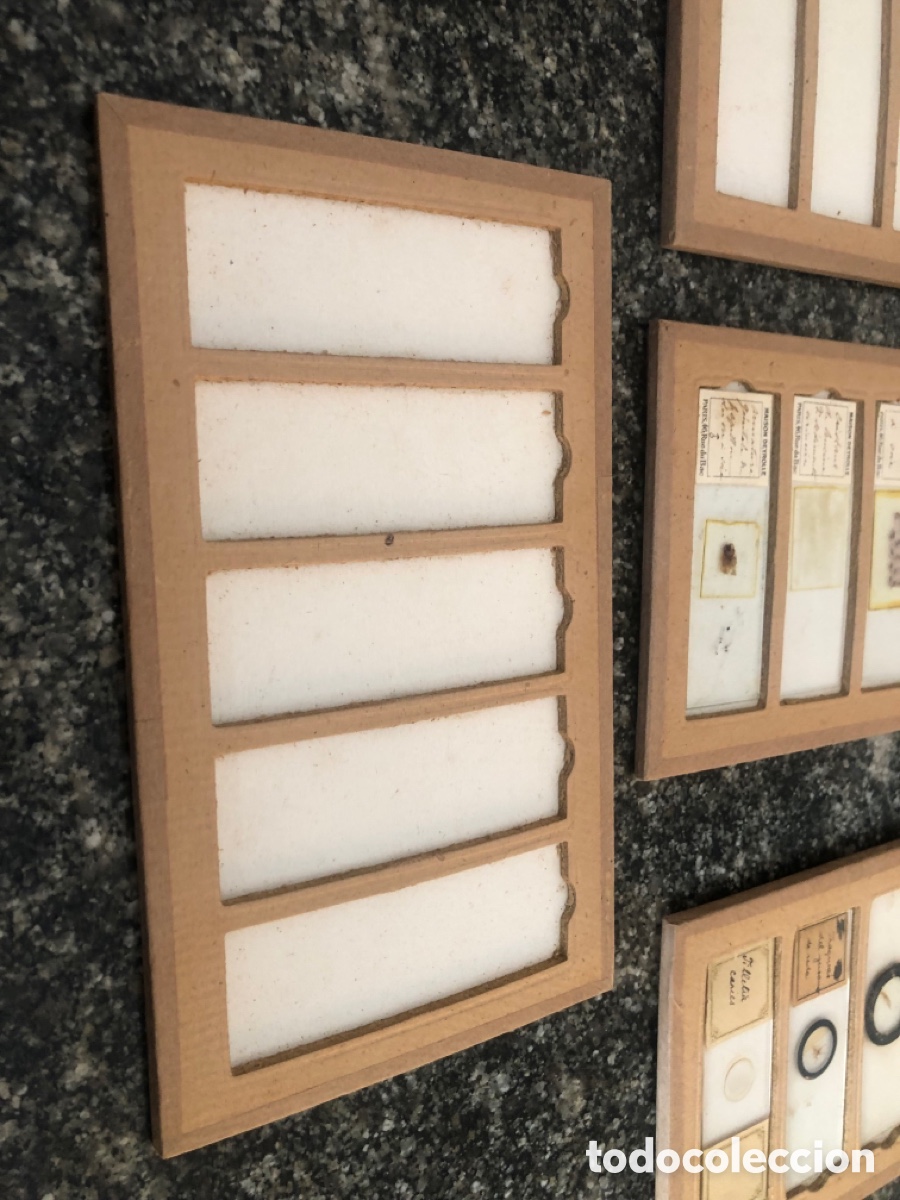 Antig&uuml;edades: Preparaciones microsc&oacute;picas y placas de cristal - Foto 5