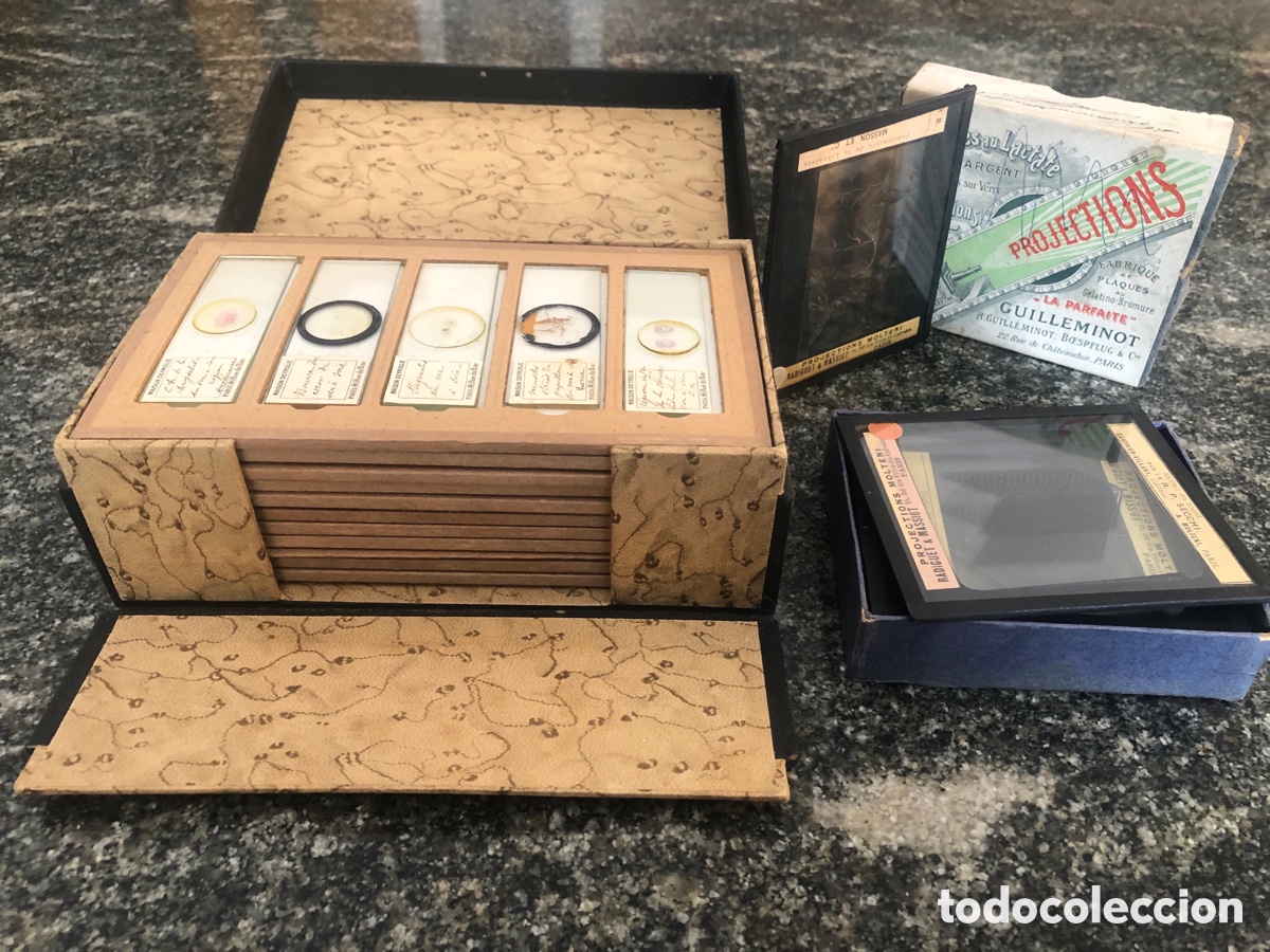 Antig&uuml;edades: Preparaciones microsc&oacute;picas y placas de cristal - Foto 1