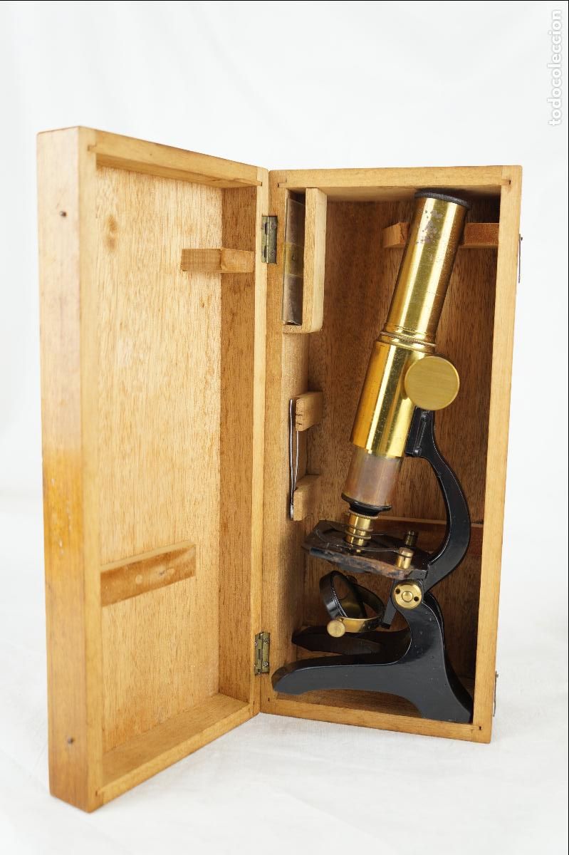 Antig&uuml;edades: Microscopio monocular de estudio, siglo XIX - Foto 2