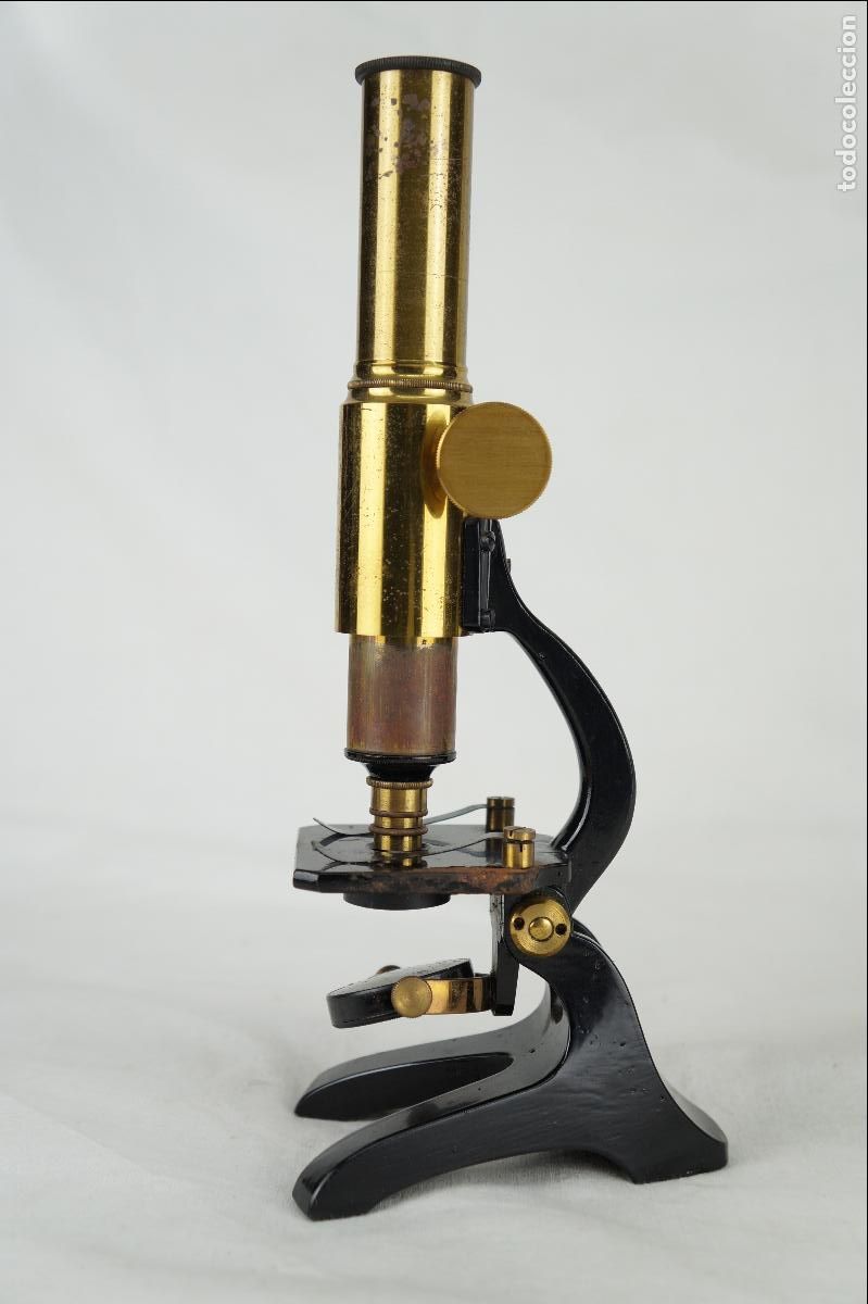 Antig&uuml;edades: Microscopio monocular de estudio, siglo XIX - Foto 4
