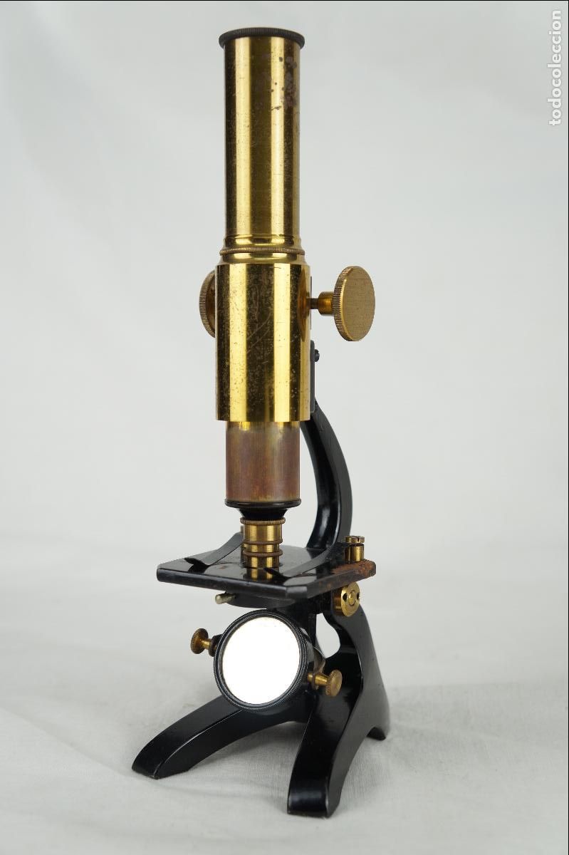 Antig&uuml;edades: Microscopio monocular de estudio, siglo XIX - Foto 3