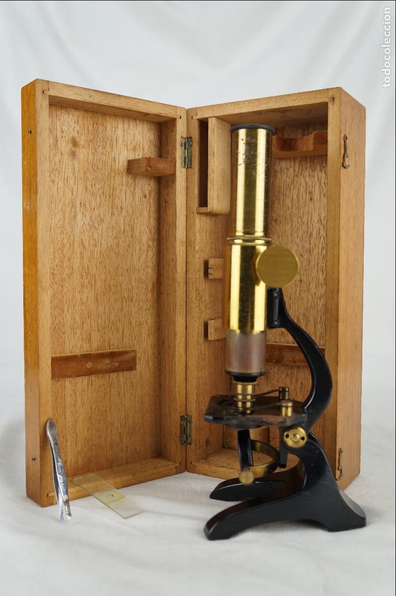 Antig&uuml;edades: Microscopio monocular de estudio, siglo XIX - Foto 1