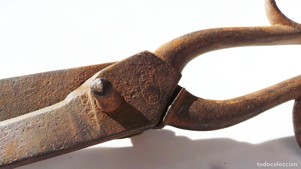 Antig&uuml;edades: ANTIGUAS TIJERAS DE SASTRE. - Foto 3