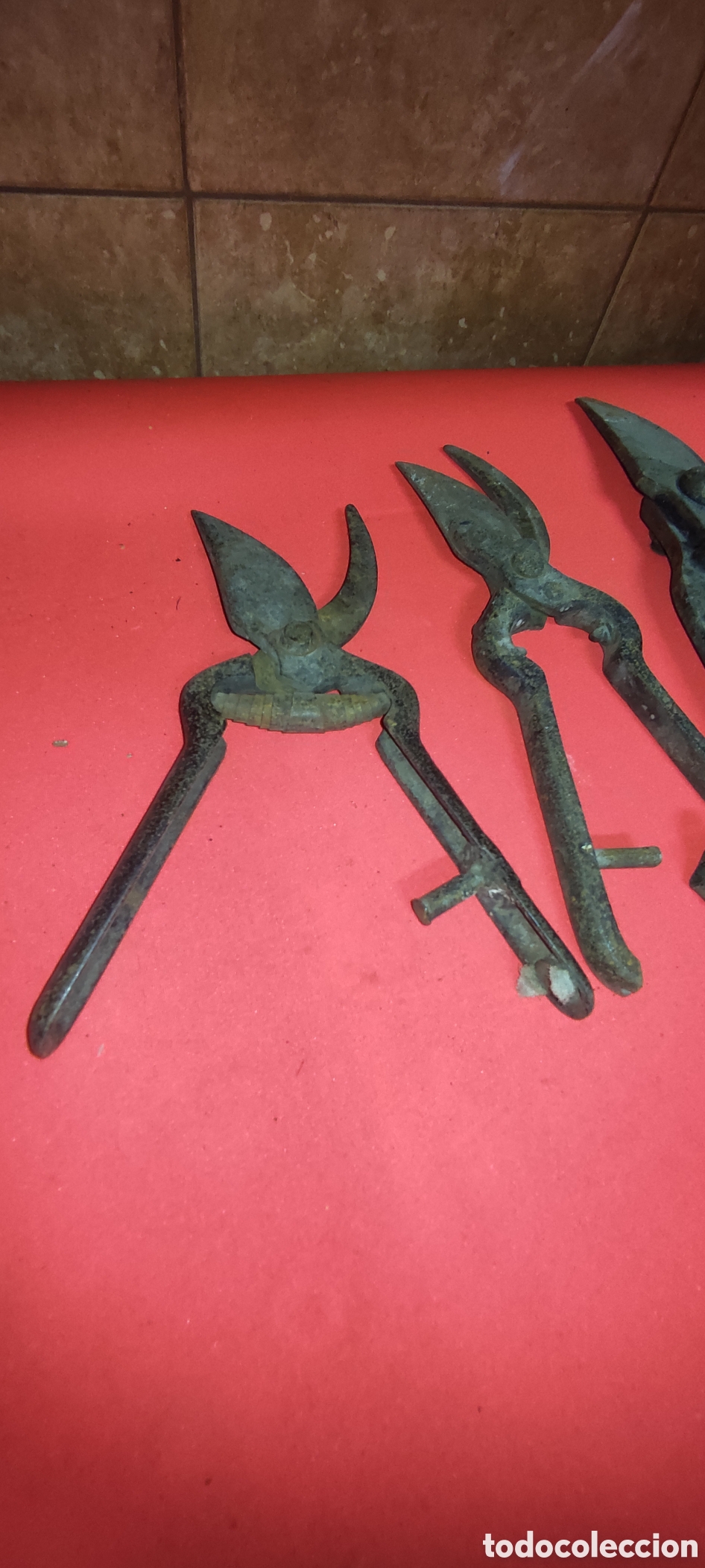 Antig&uuml;edades: Antiguas herramientas de poda - Foto 2