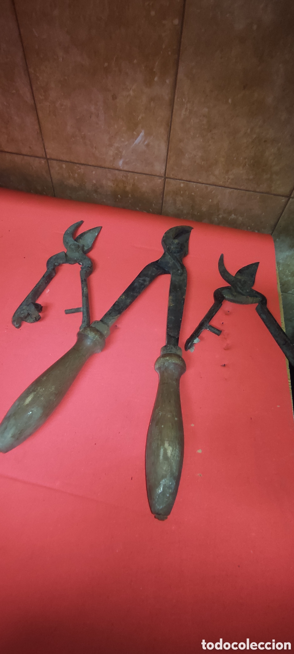 Antig&uuml;edades: Antiguas herramientas de poda - Foto 3
