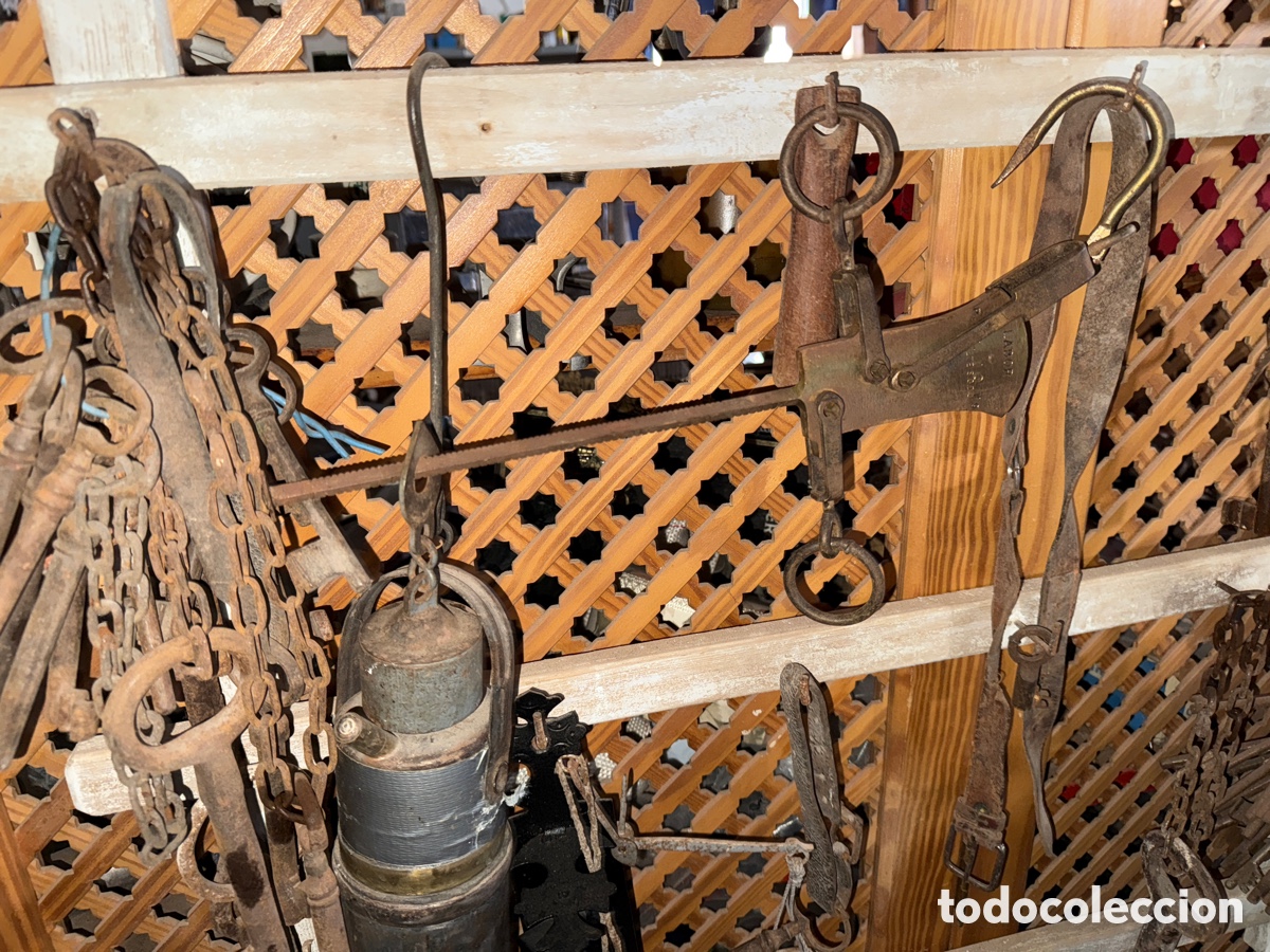 Antig&uuml;edades: Romana peque&ntilde;a antigua - Foto 1