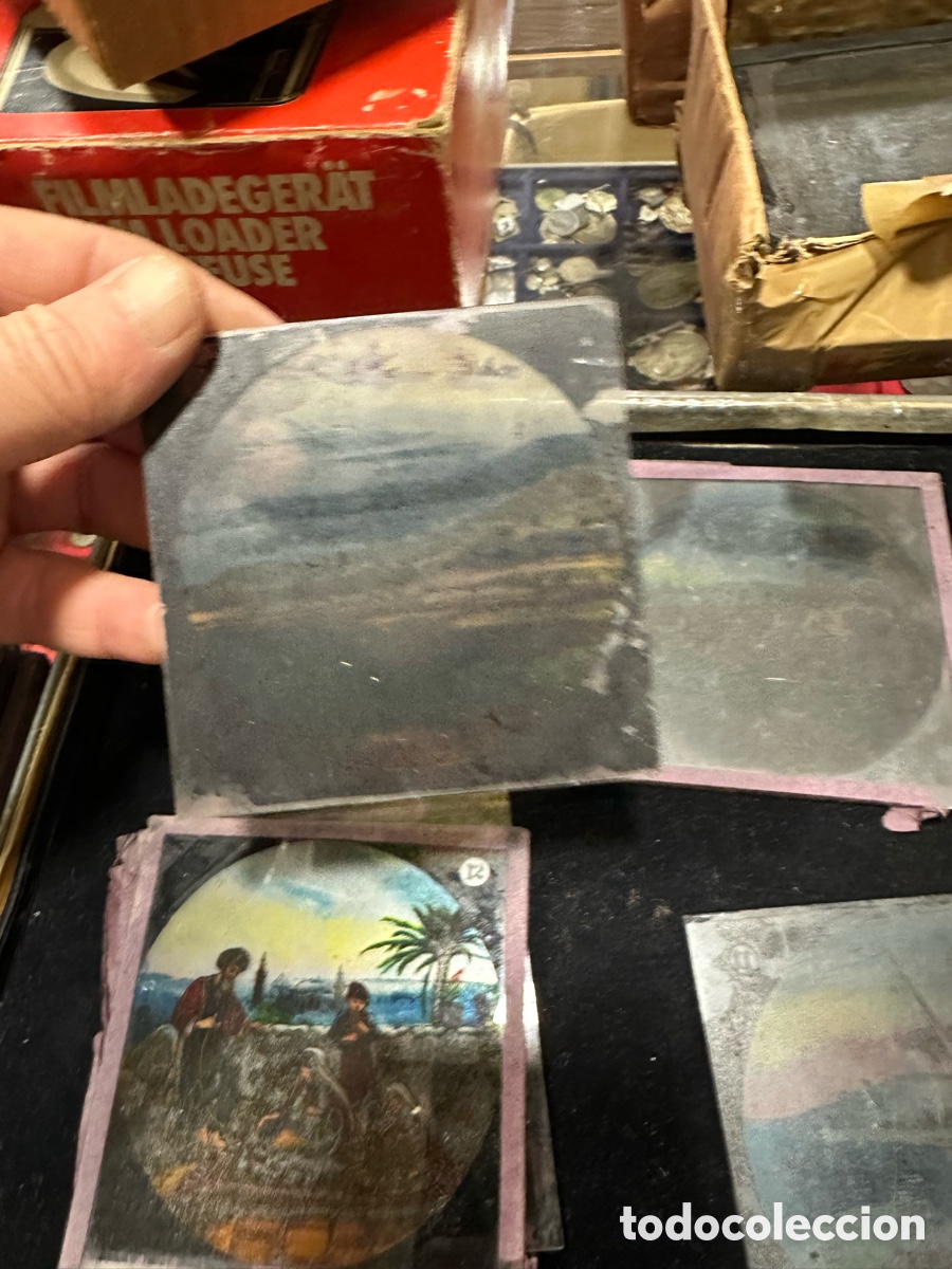 Antig&uuml;edades: Lote de 28 cristales para linternas m&aacute;gicas - Foto 6