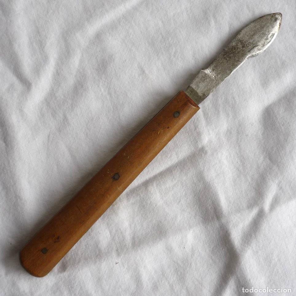 Antig&uuml;edades: Antiguo bistur&iacute; con mango de madera - Foto 1