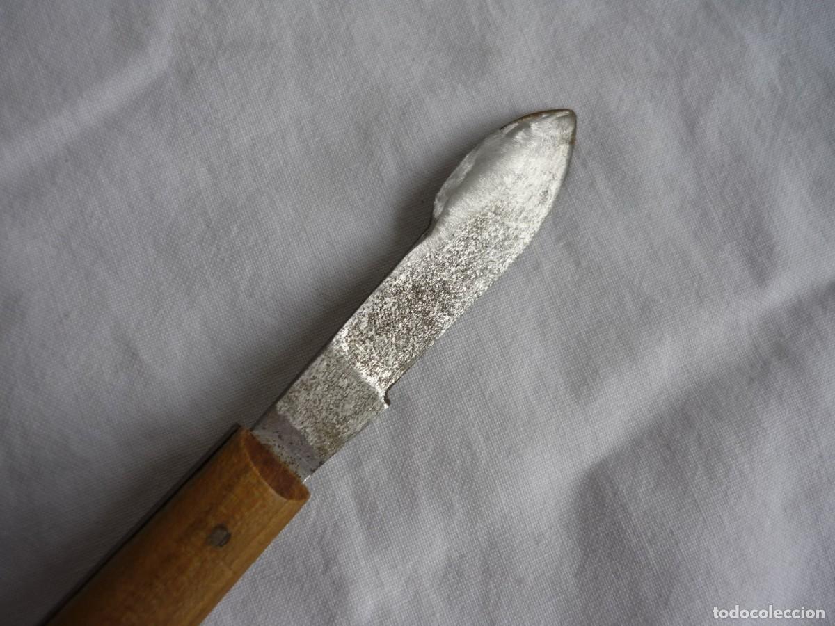 Antig&uuml;edades: Antiguo bistur&iacute; con mango de madera - Foto 3