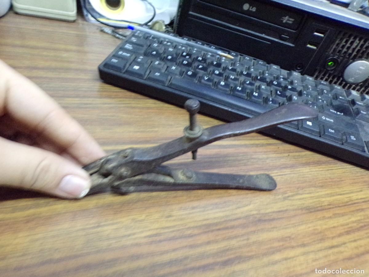 Antig&uuml;edades: ESTAMOS LIQUIDANDO. ANTIGUOS ALICATES ESPECIALES - Foto 2