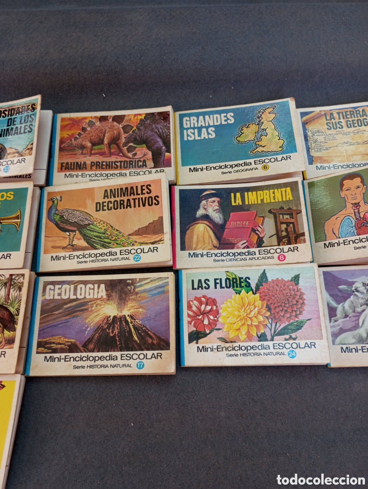 Antig&uuml;edades: Mini enciclopedia escolar antigua - Foto 5