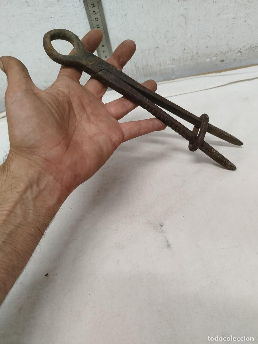 Antig&uuml;edades: Antigua herramienta compas hierro forjado, a identificar. - Foto 1