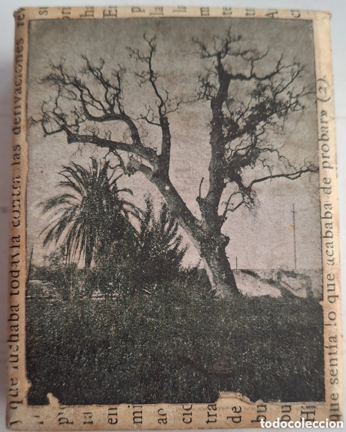 Antig&uuml;edades: Tamp&oacute;n o placa de imprenta. - Foto 1