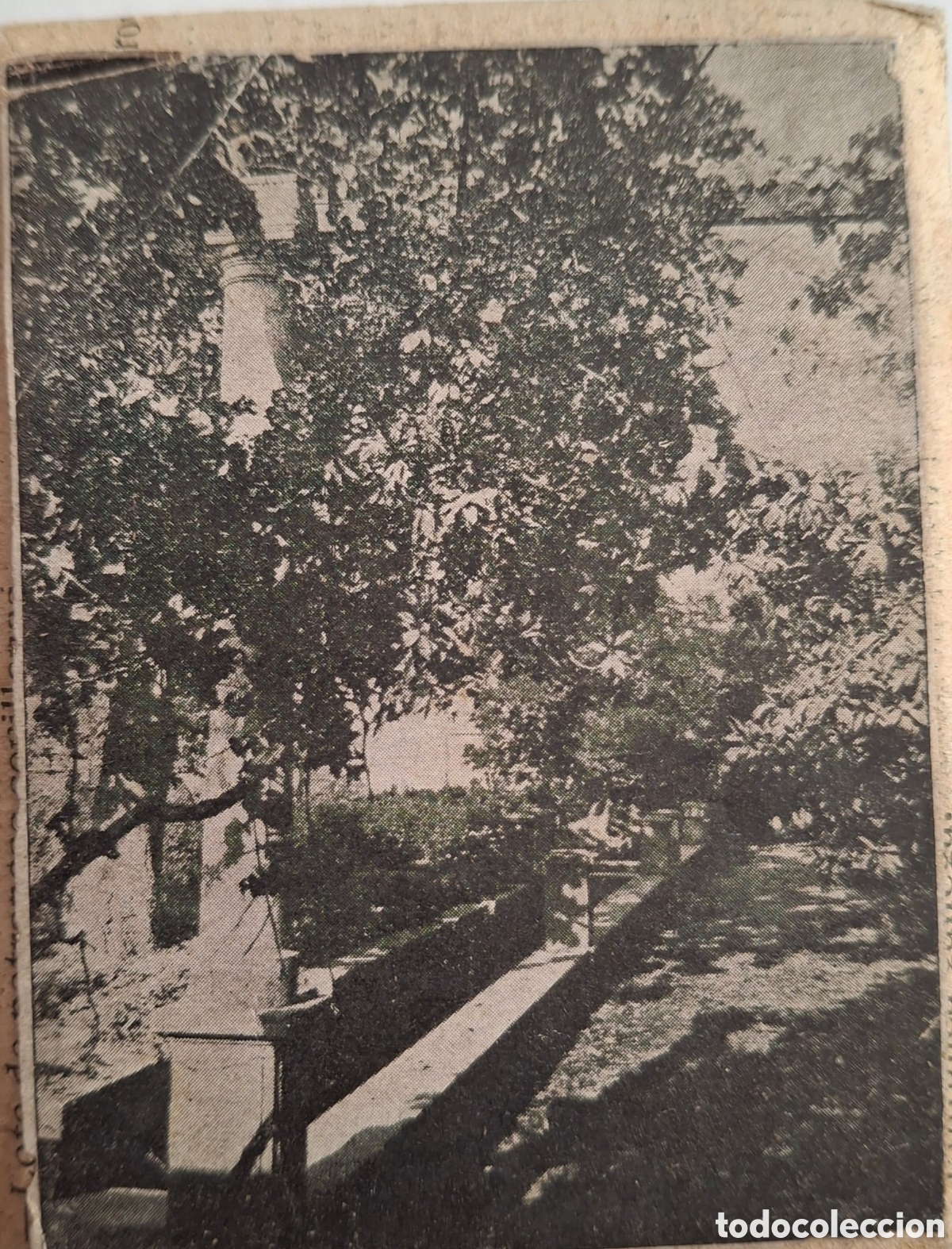 Antig&uuml;edades: Tamp&oacute;n o placa de imprenta - Foto 1