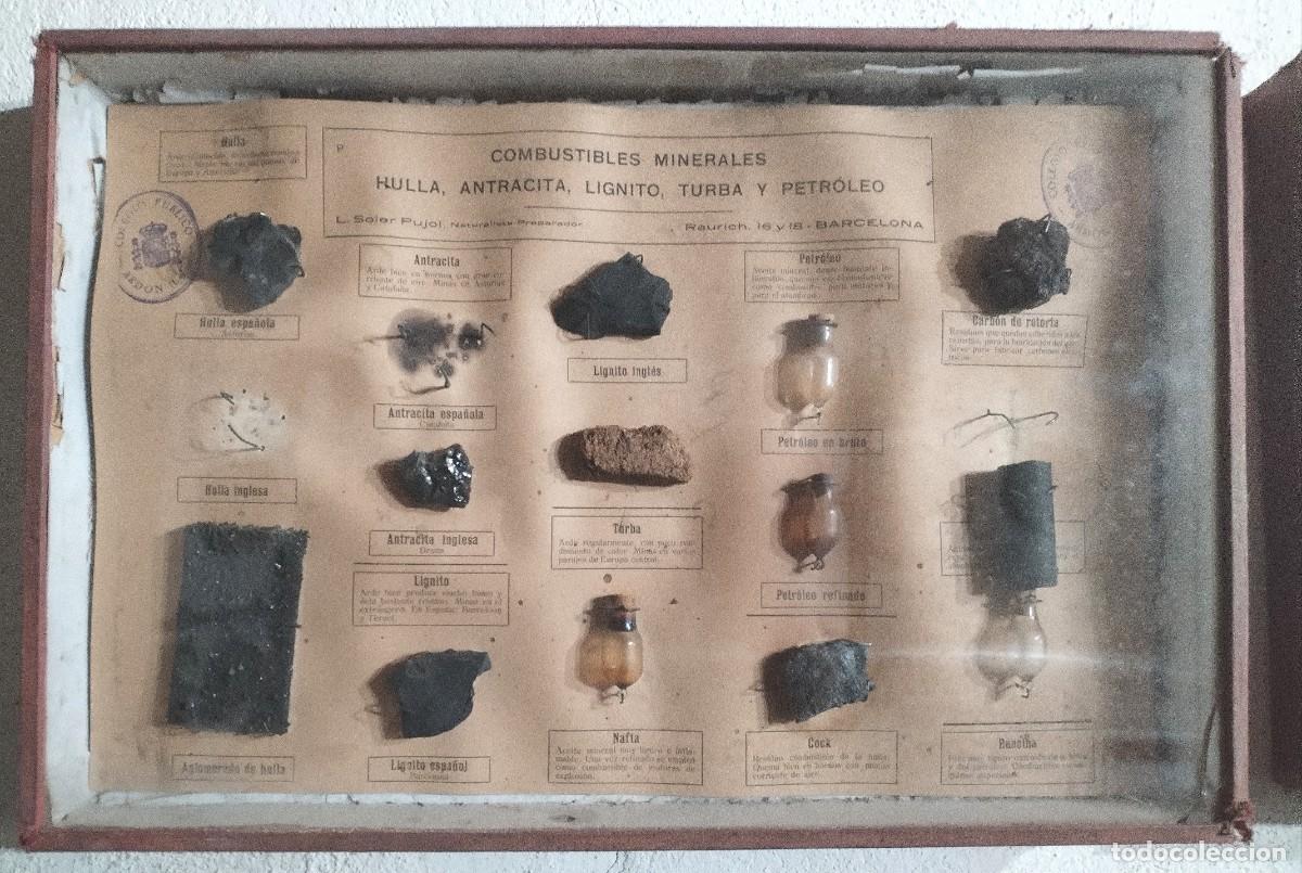 Antig&uuml;edades: Cuadros educativos colegio Soler Pujol - Foto 3