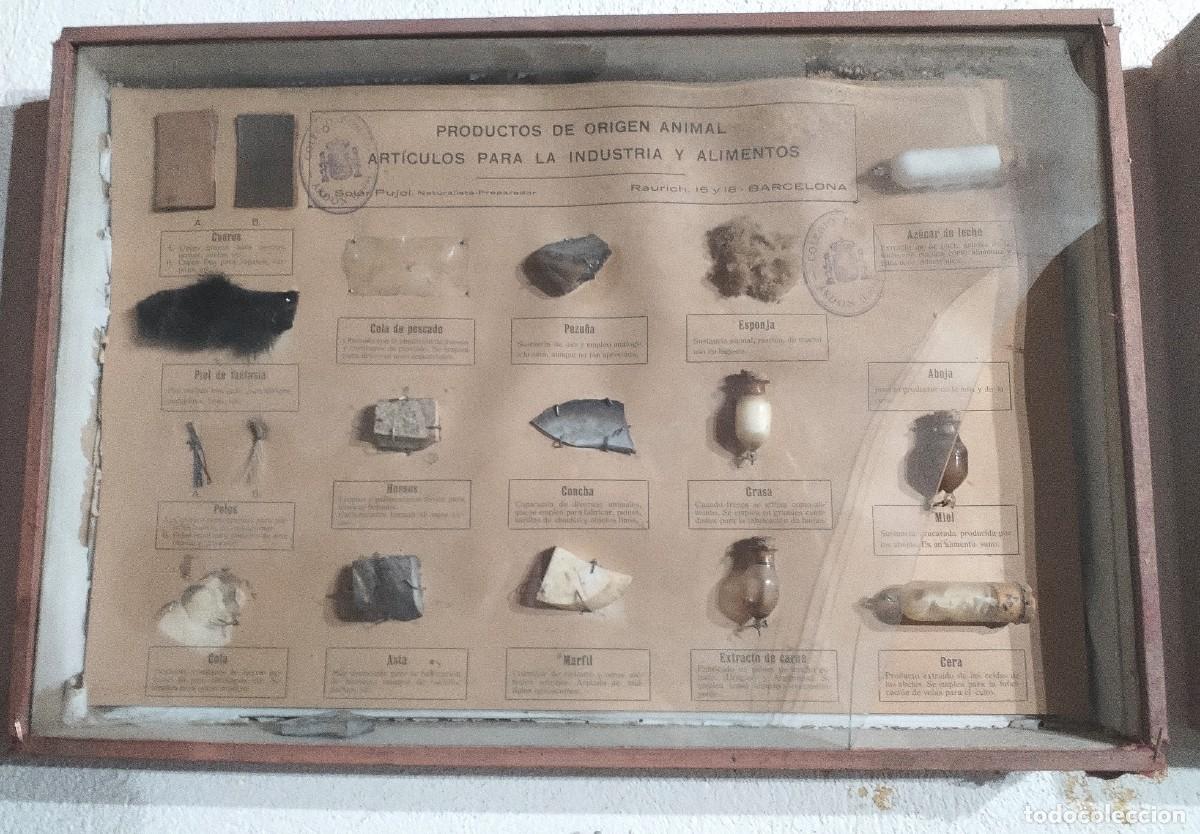 Antig&uuml;edades: Cuadros educativos colegio Soler Pujol - Foto 4