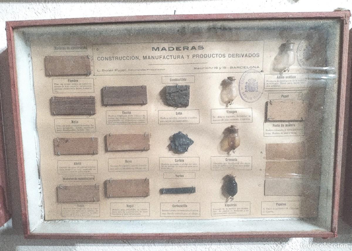 Antig&uuml;edades: Cuadros educativos colegio Soler Pujol - Foto 6