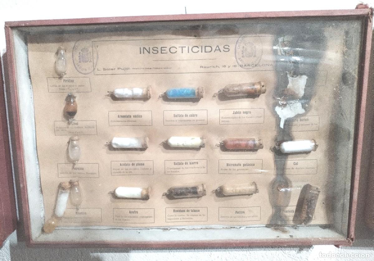 Antig&uuml;edades: Cuadros educativos colegio Soler Pujol - Foto 7