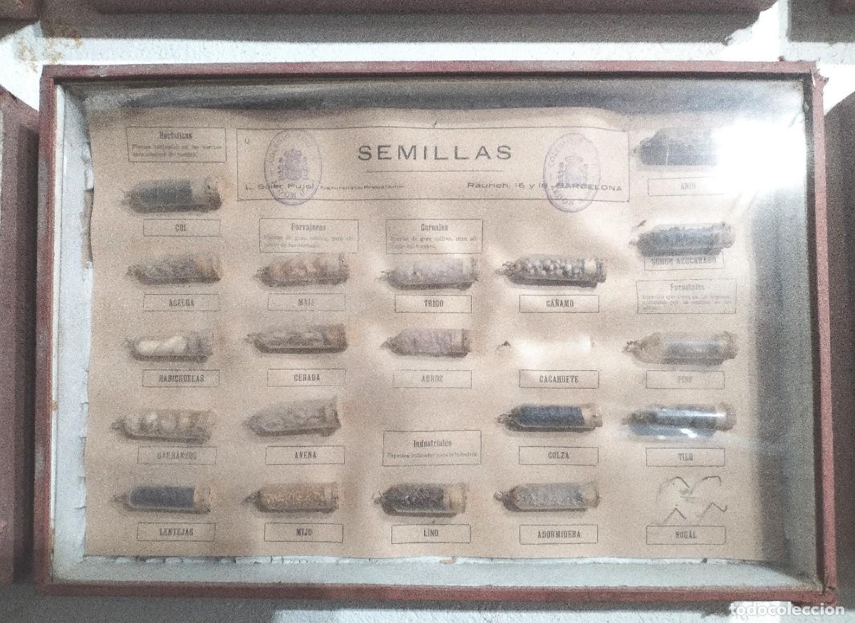 Antig&uuml;edades: Cuadros educativos colegio Soler Pujol - Foto 8