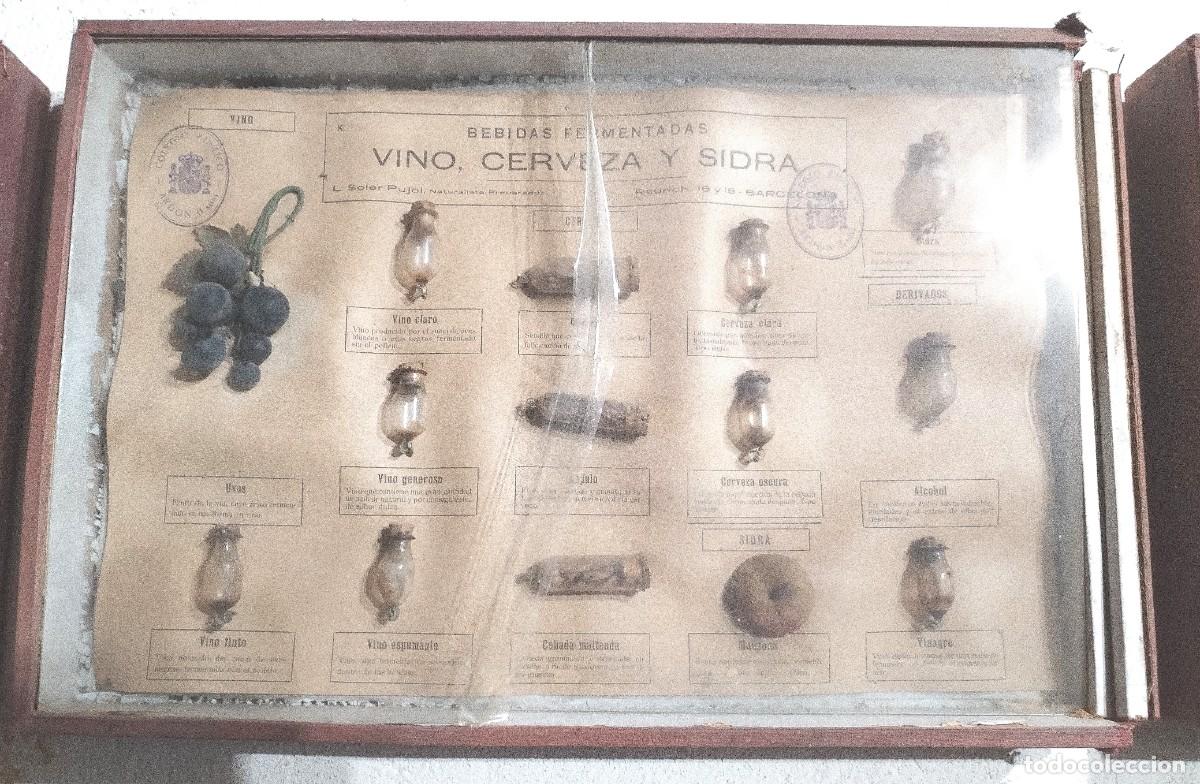 Antig&uuml;edades: Cuadros educativos colegio Soler Pujol - Foto 9