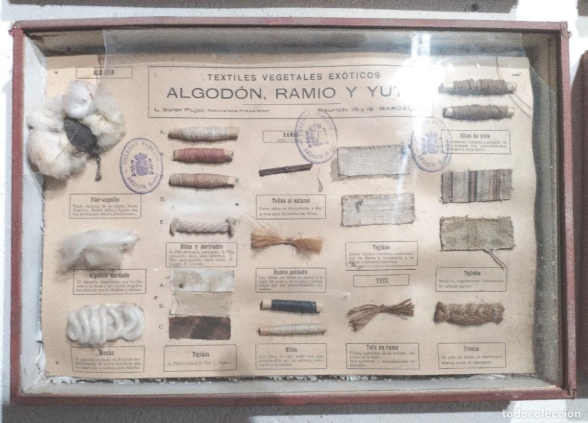 Antig&uuml;edades: Cuadros educativos colegio Soler Pujol - Foto 11