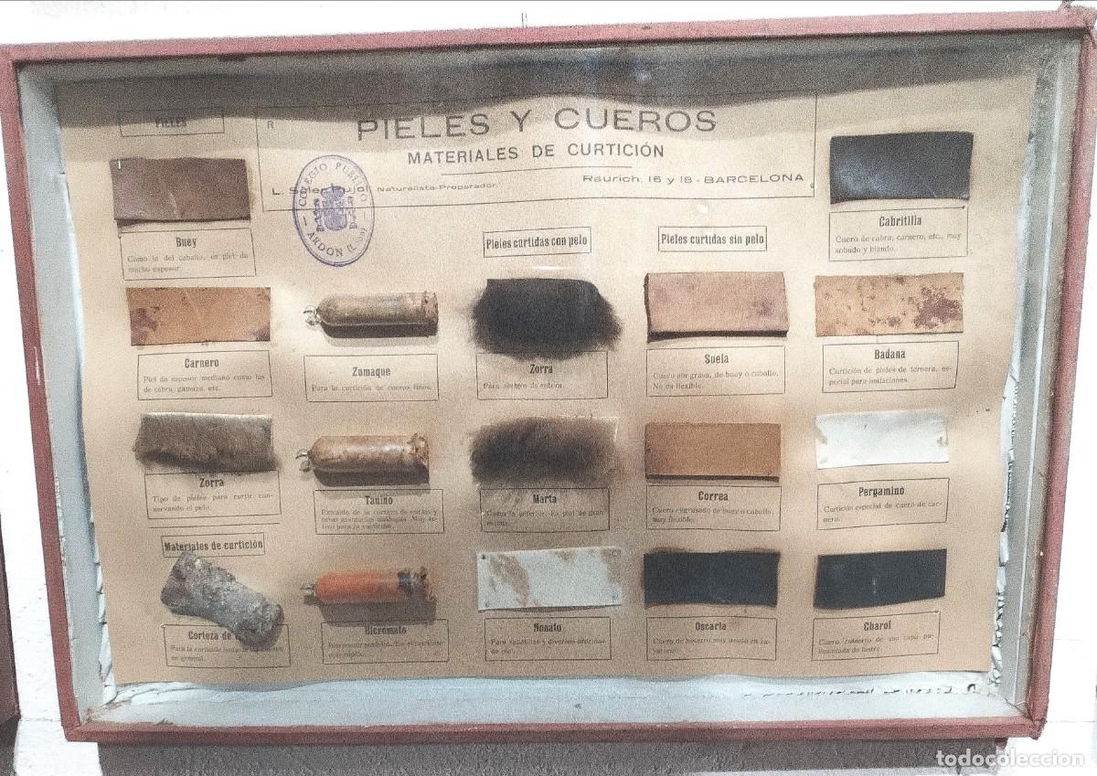 Antig&uuml;edades: Cuadros educativos colegio Soler Pujol - Foto 13