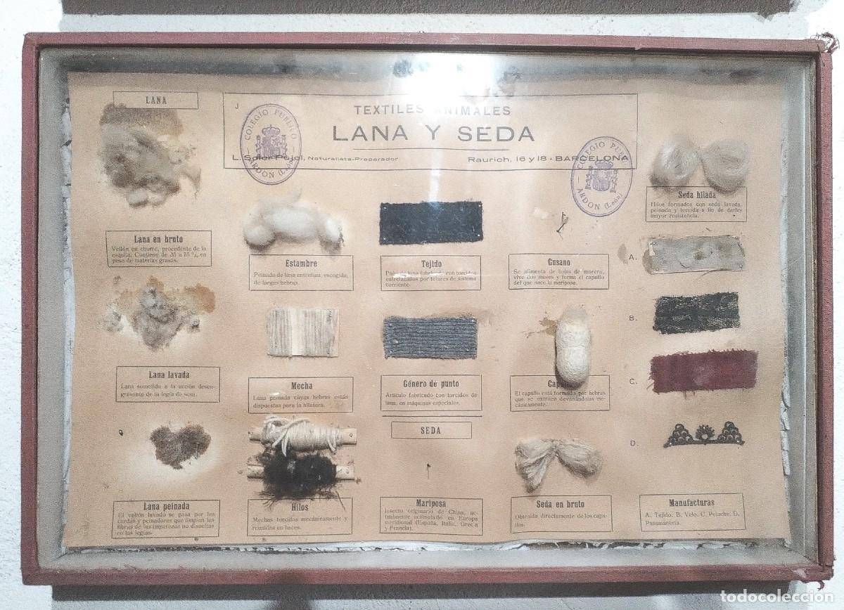 Antig&uuml;edades: Cuadros educativos colegio Soler Pujol - Foto 14