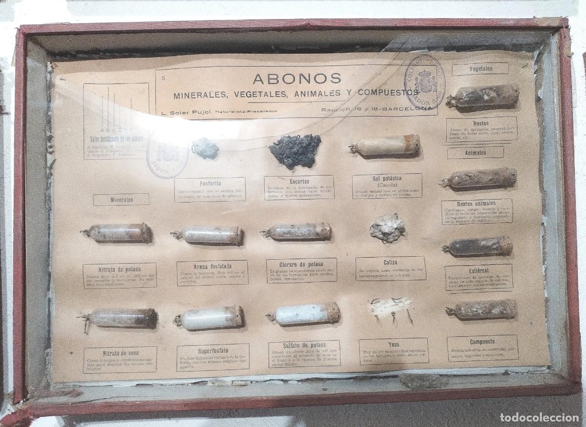 Antig&uuml;edades: Cuadros educativos colegio Soler Pujol - Foto 17
