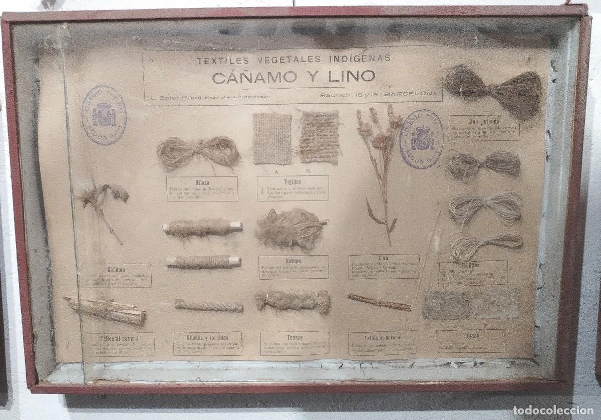 Antig&uuml;edades: Cuadros educativos colegio Soler Pujol - Foto 18