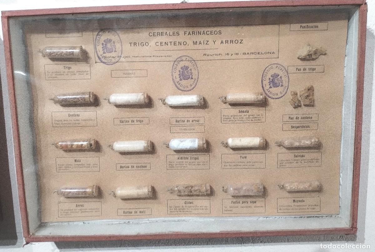Antig&uuml;edades: Cuadros educativos colegio Soler Pujol - Foto 19