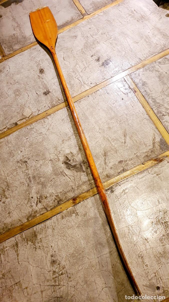 Antig&uuml;edades: Remo doble de canoa Klepper, a&ntilde;os 60 - Foto 1