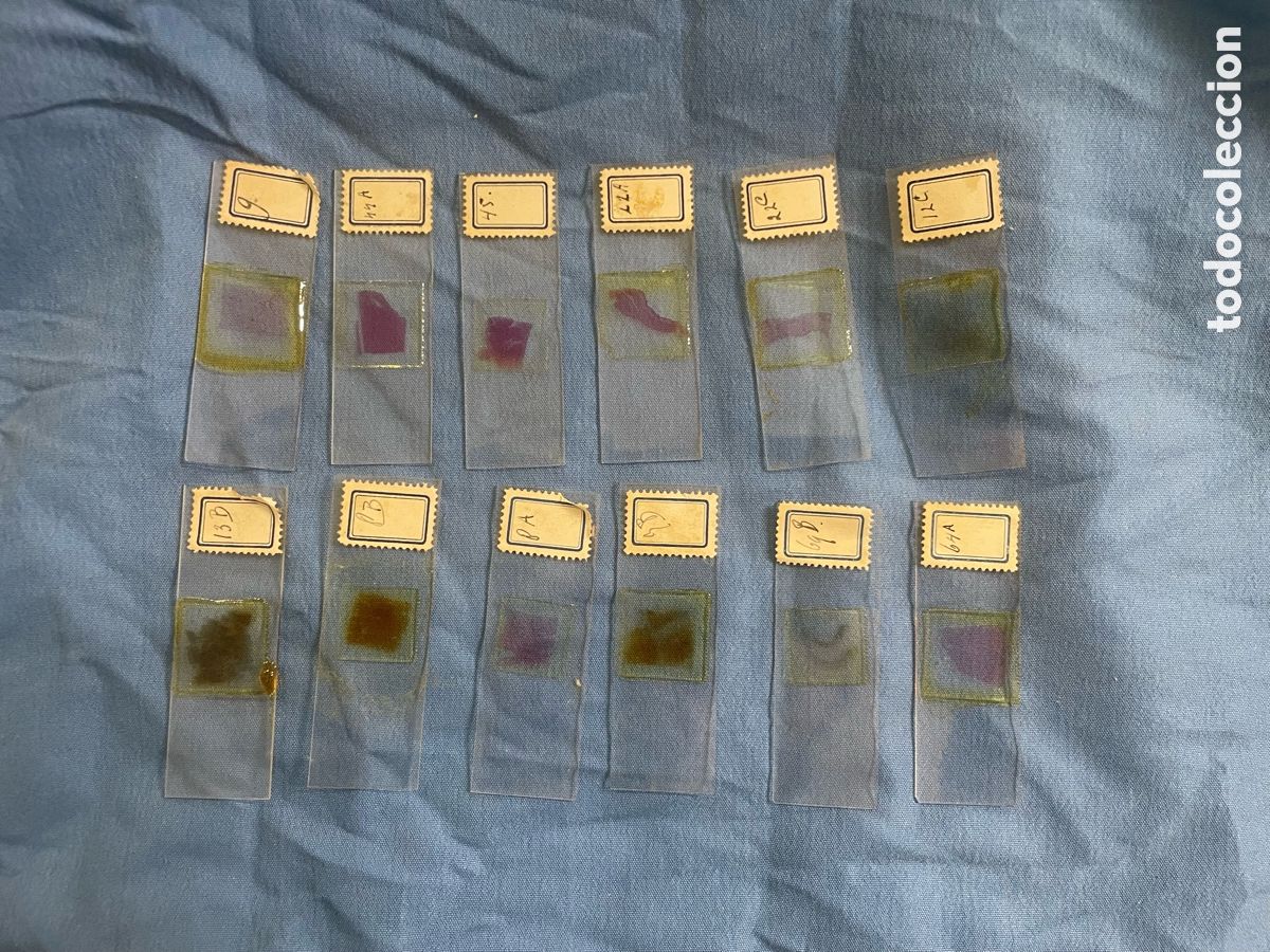 Antig&uuml;edades: CAJA CON 292 PRUEBAS DE LABORATORIO - Foto 9