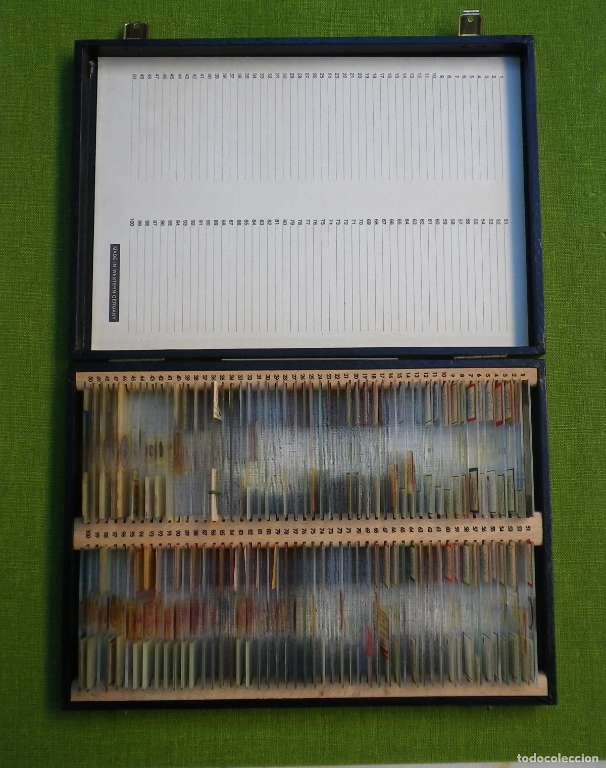 Antig&uuml;edades: Caja con 100 preparados de microscop&iacute;a Angioespermae - Foto 1