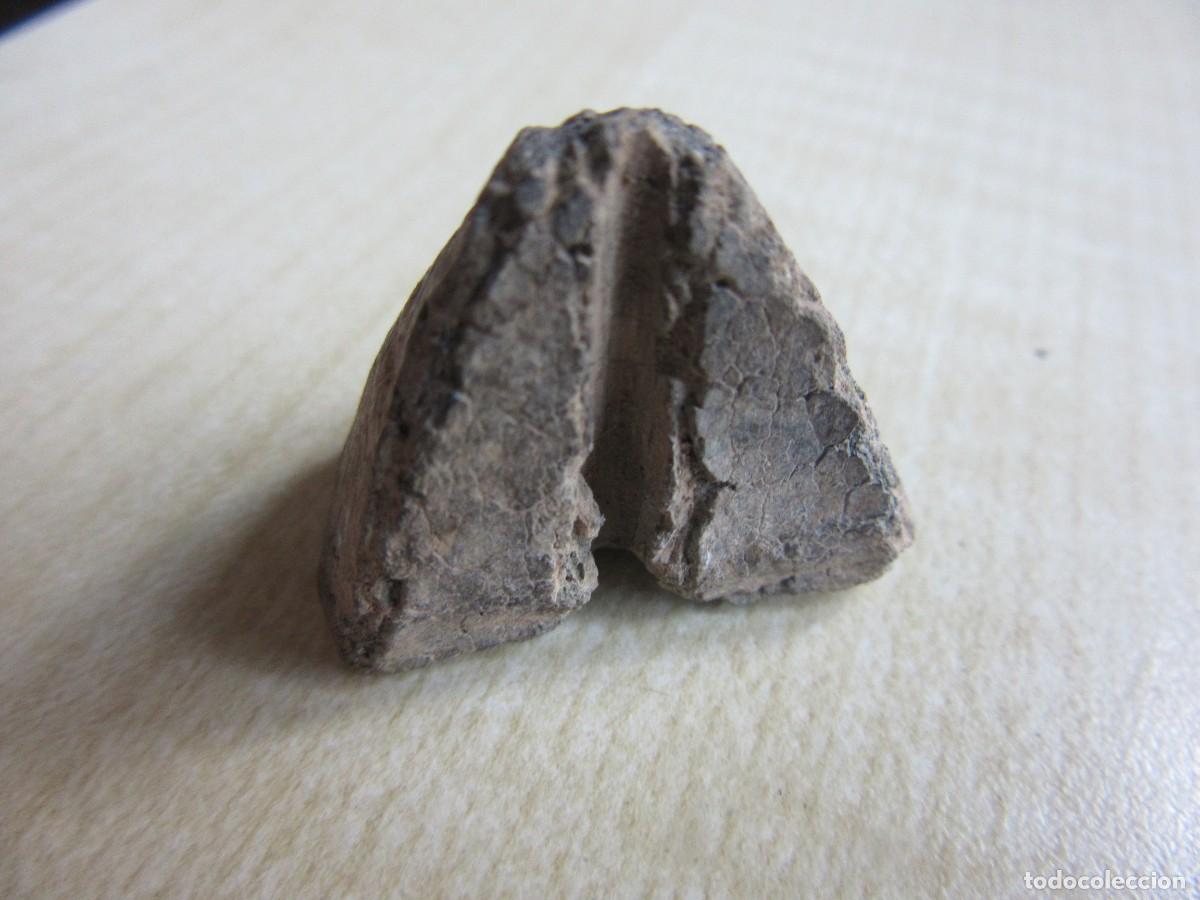 Antiques: Fusayola o pesa Plomo &Eacute;poca romana Di&aacute;metro 2,8 cm Altura 2,4 cm Media