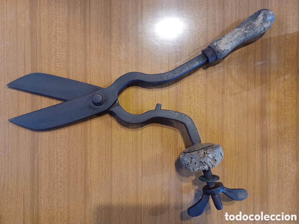 Antig&uuml;edades: Antiguas tijeras de carnicer&iacute;a.