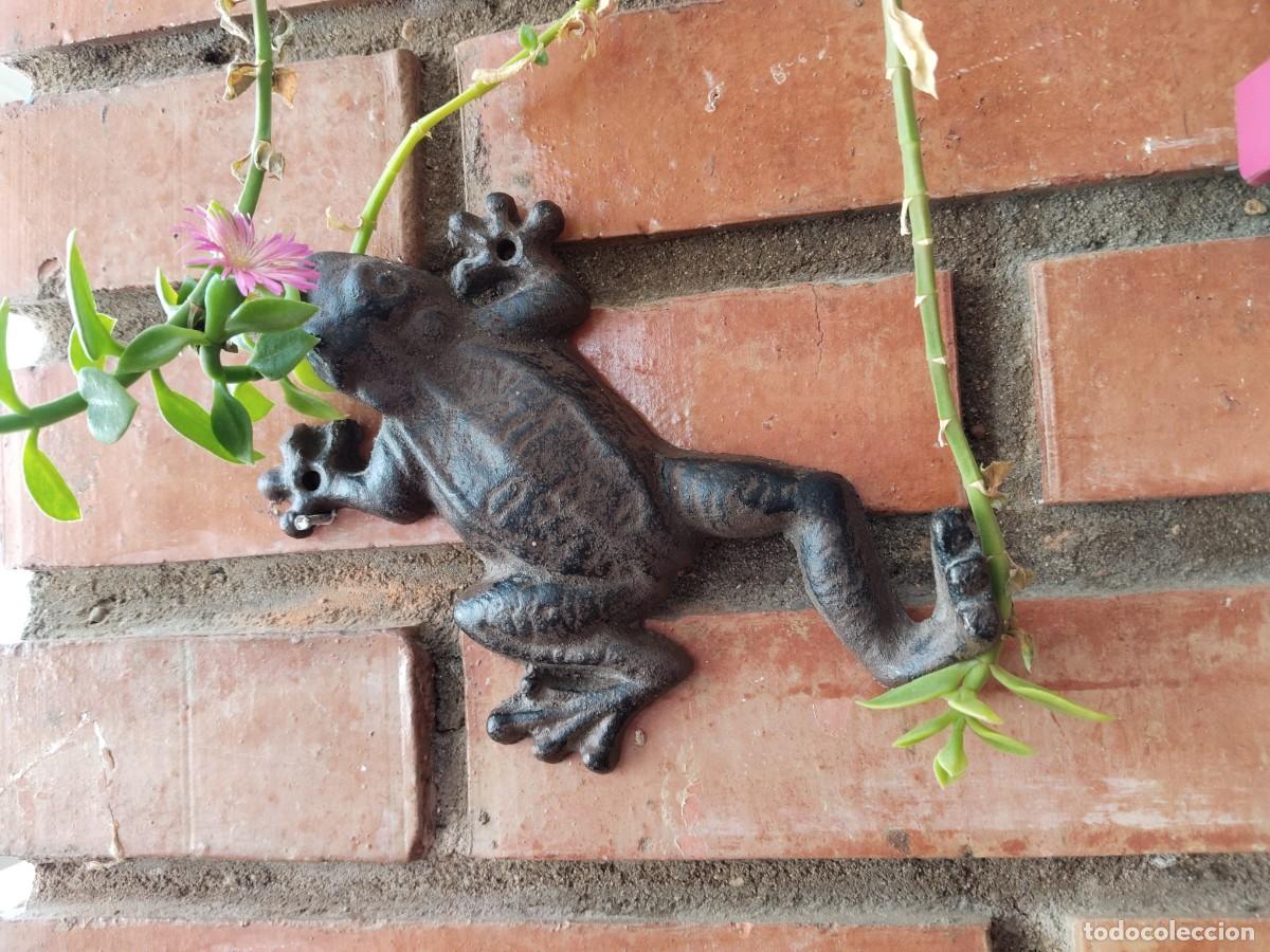 Antig&uuml;edades: Rana en hierro fundido para jard&iacute;n o estanque.