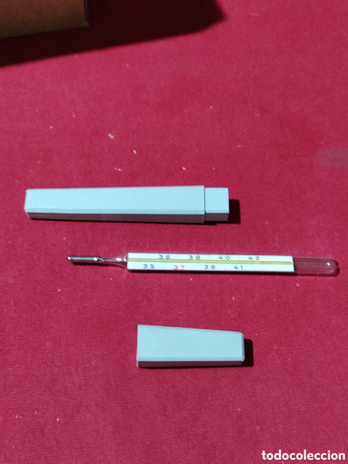 Antig&uuml;edades: Term&oacute;metro franc&eacute;s INGWILLER con funda