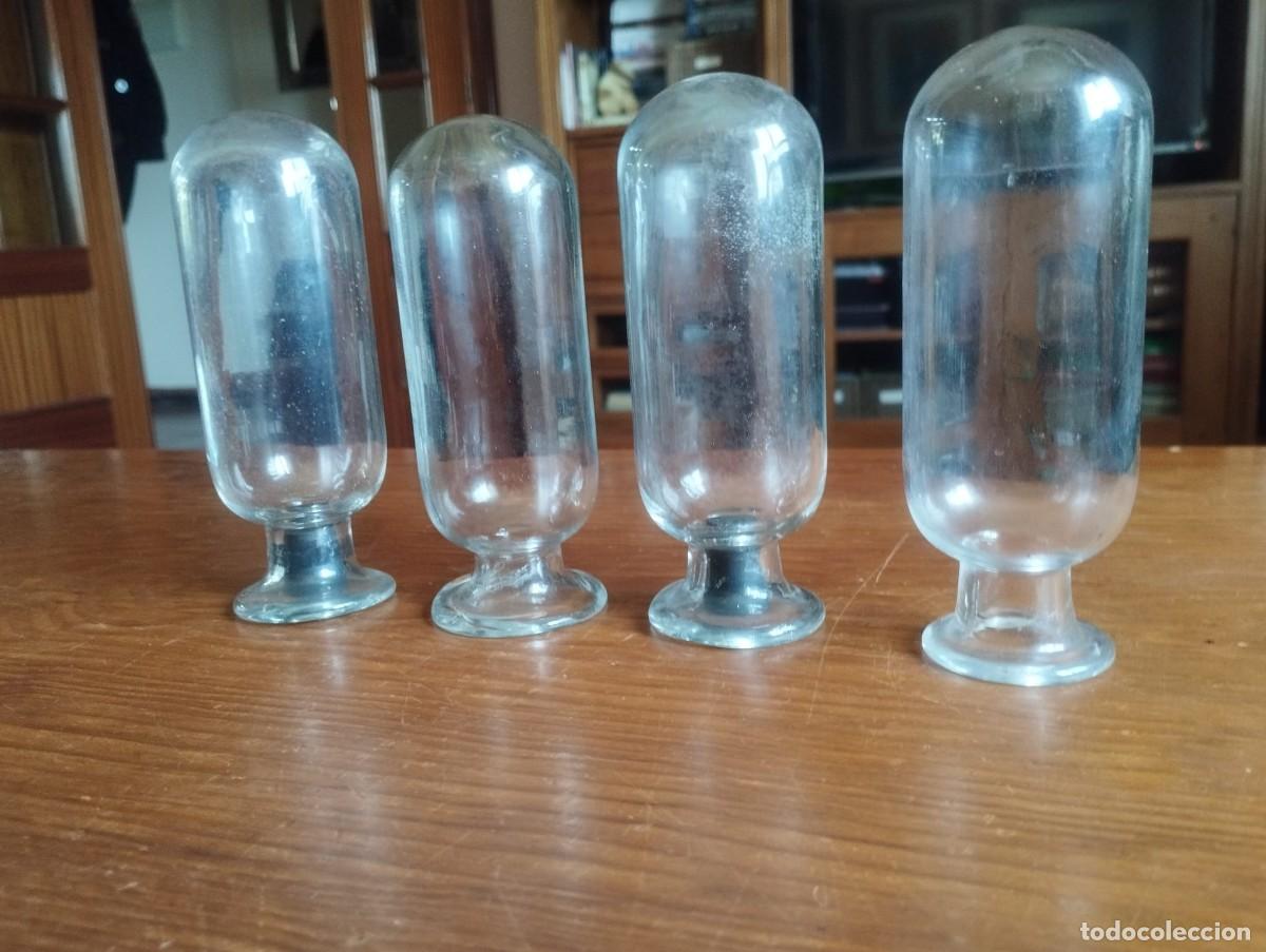 Antig&uuml;edades: Globos de boticario invertidos, tambi&eacute;n conocidos como frascos de exhibici&oacute;n o tarros de espec&iacute;menes