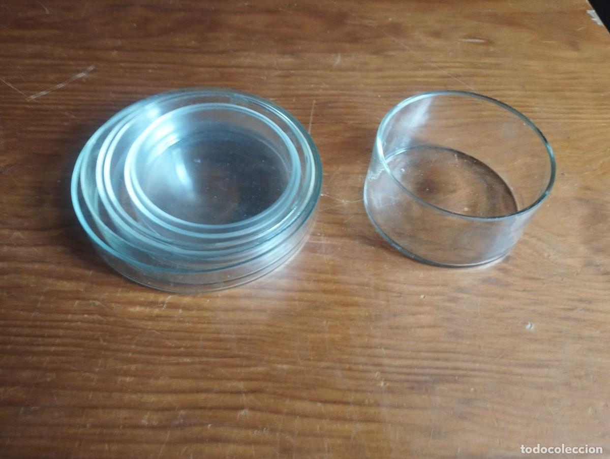 Antig&uuml;edades: 6 placas de Petri y un cristalizador o vaso de precipitados bajo.