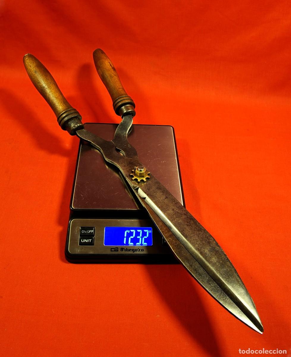 Antig&uuml;edades: Tijeras de Poda antiguas Francesas siglo XIX grandes de 51cm ajuste de lat&oacute;n tipo Engranaje