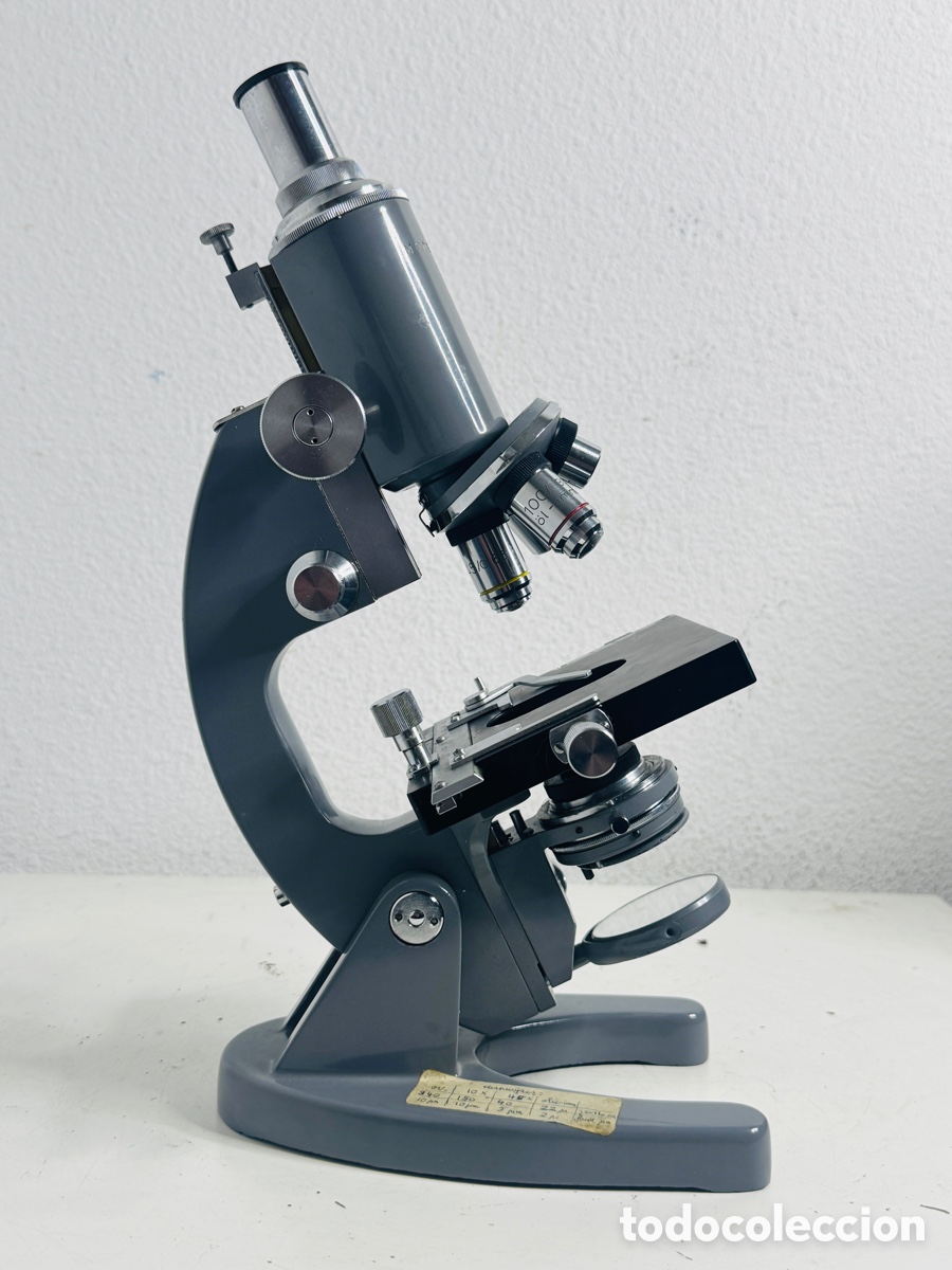 Antig&uuml;edades: Euromex Arnhem Microscope Model L-301